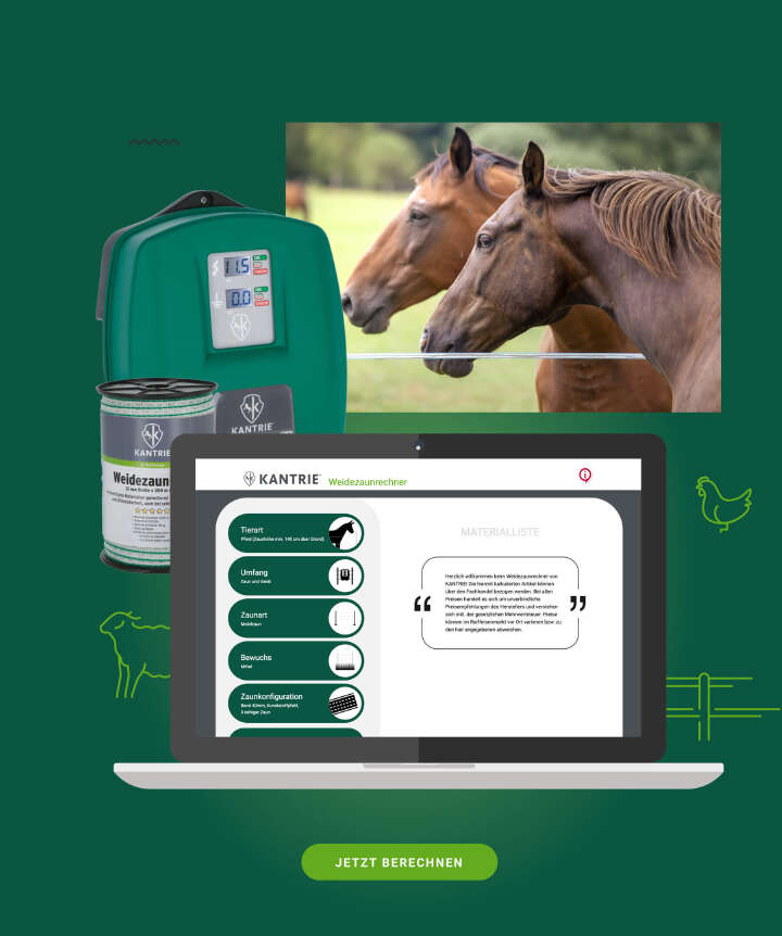 bild weidezaunrechner kantrie zaun weide kuh schwein schaf pferd ziege landwirtschaft tiere